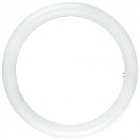 LAMPADA LED CIRCOLINA LAMPADINA 20W G10Q 6000K LUCE FREDDA MARINO CRISTAL 21234 MARINO CRISTAL - 1