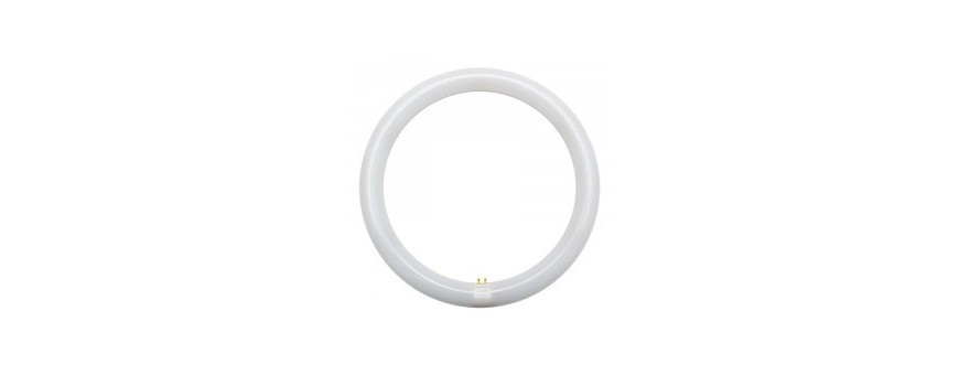 rmelectric.it - lampade e lampadine led g10q delle migliori marche